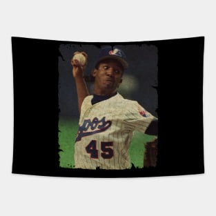 Pedro Martinez - The Montreal Expos, 1993 Tapestry