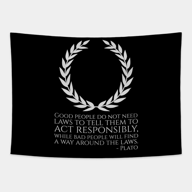 Ancient Greek Philosophy Plato Quote - Libertarian Tapestry by Styr Designs