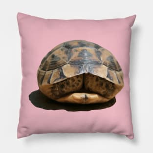 Tortoise Tucked In Vector Art Cut Out Pillow
