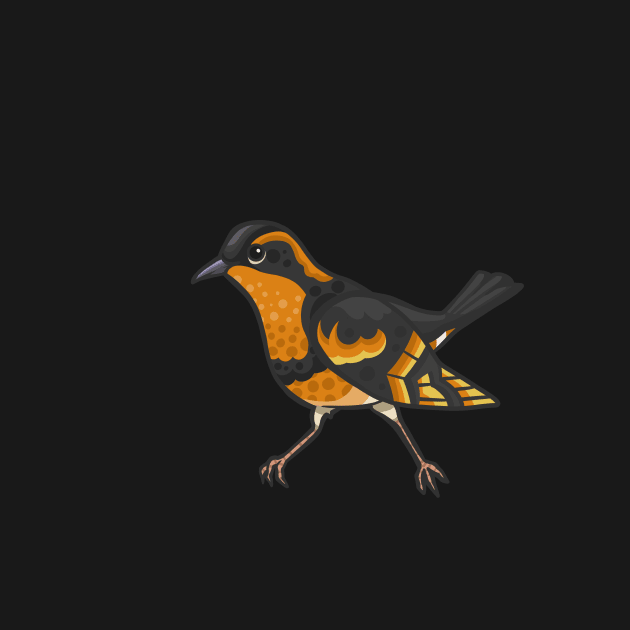 Varied Thrush by Ginboy