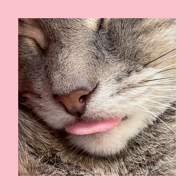 Grey Cat Tongue Blep (gifts) by VisualSpice