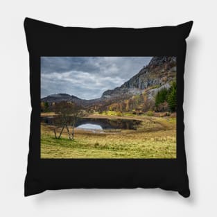 Highlands in Autumn Pillow