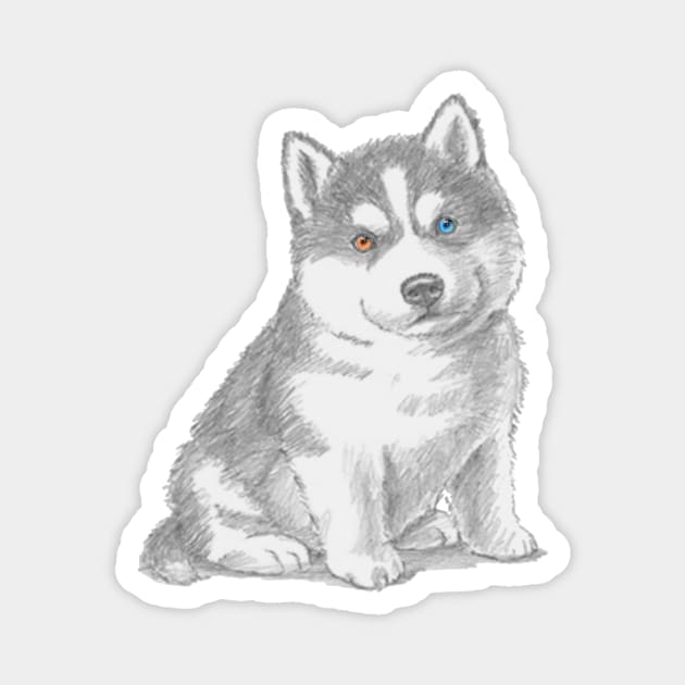 Puppy husky Magnet by Shenron