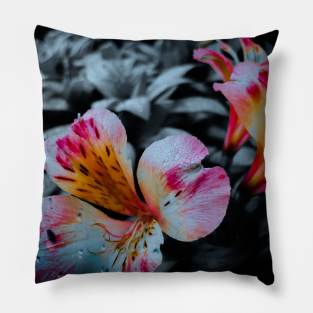 Neon Flower Pillow