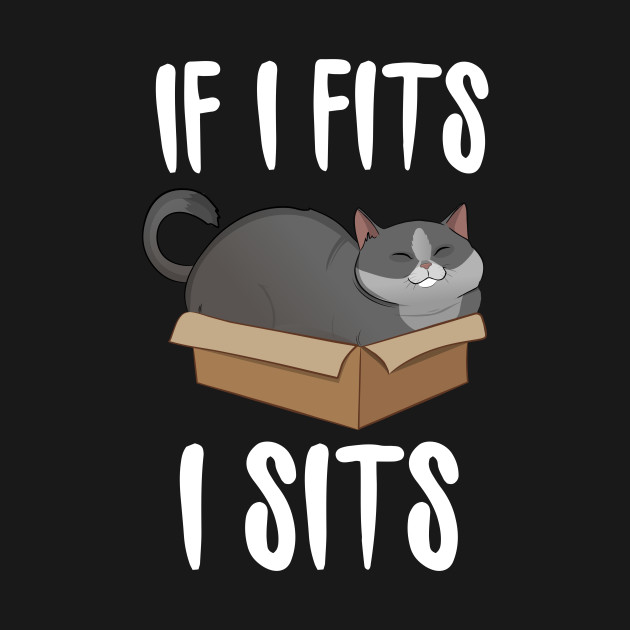 If I Fits I Sits Cat In A Box Funny Cat T Shirt Teepublic