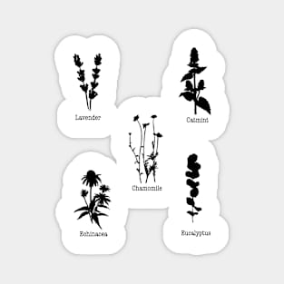 Minimalist herbs Magnet
