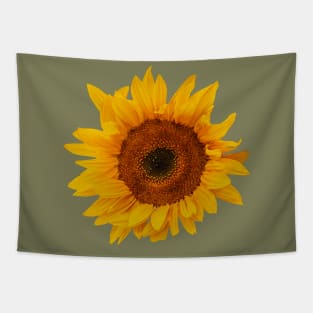 A flower with the Sun on its face Tapestry