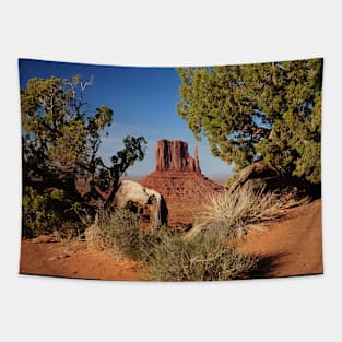 Monument Valley one of the wonders of Arizona!! Tapestry