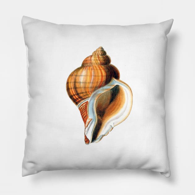 Snail house designer Pillow by Marccelus