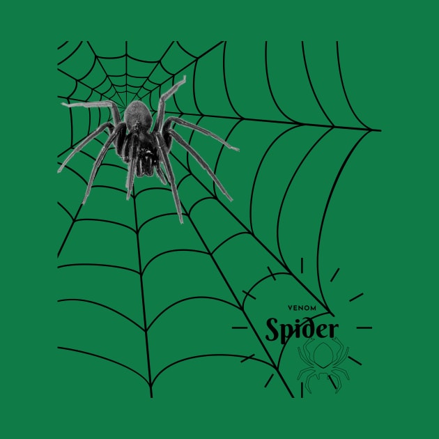 Spider web by JeDrin