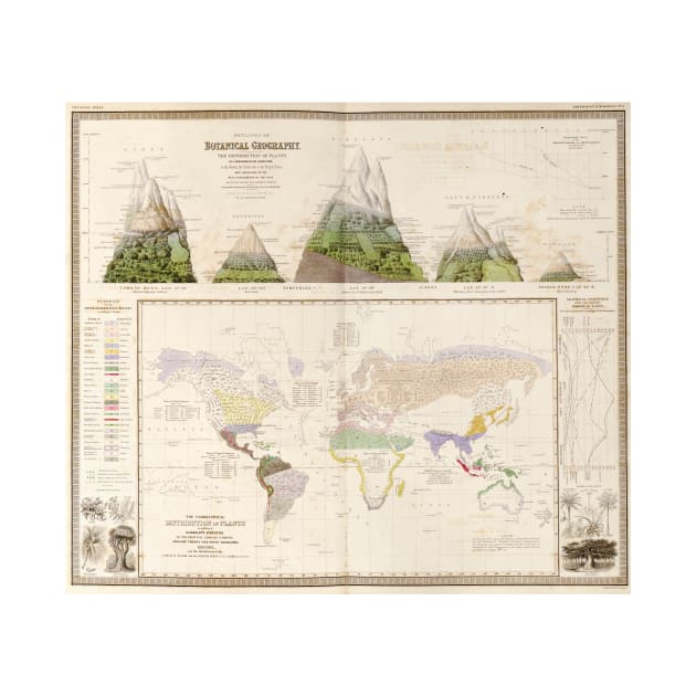 Global botanical geography, 1840s (C026/8518) by SciencePhoto