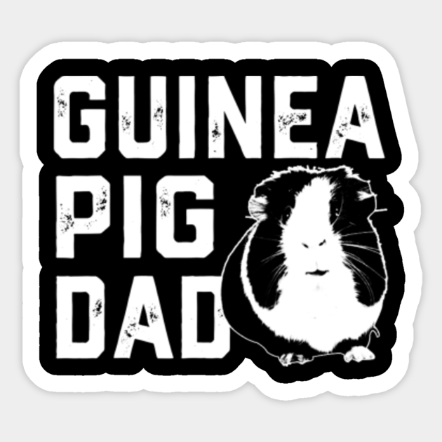 Guinea Pig Dad Funny Guinea Pig Daddy Father Gift Fathers Day 2020 Sticker Teepublic