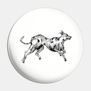 Greyhound Pin