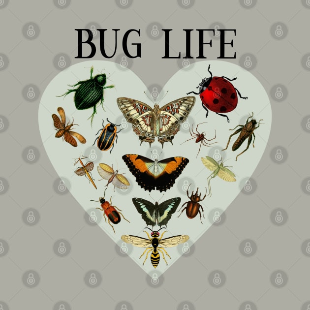 Entomology / Bug Lover /Entomologists / Bug Life by All Thumbs