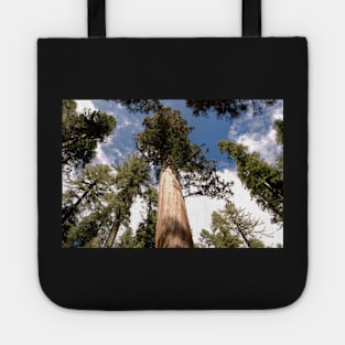 Pine Trees Tote