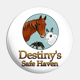 Destiny's Safe Haven Pin