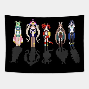 Minimalist Holo EN - Council Tapestry