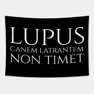 lupus non timet canem latrantem - a wolf is not afraid of a barking dog - Latin quote Tapestry