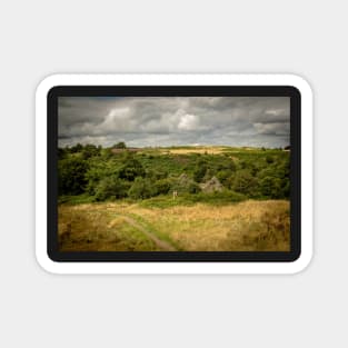 Abandoned Farm in Woodland - Baglan/ Briton Ferry - 2013 Magnet