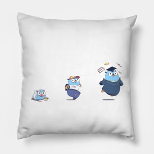 Golang Gopher Go defer panic recover Pillow