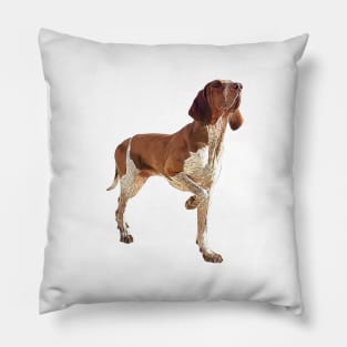 Bracco Italiano Pillow