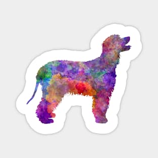 Irish Water Spaniel in watercolor Magnet