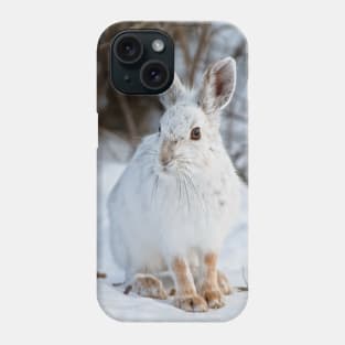 Snow Shoe Hare Phone Case