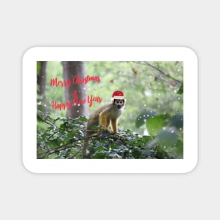 Black-capped squirrel monkey - Merry Christmas & Happy New Year Magnet