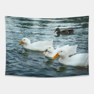 Duck Drift: A River's Tale Tapestry