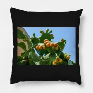 Orange fruits of Opuntia ficus-indica (prickly pear) Pillow