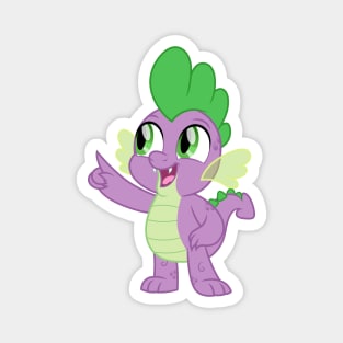 Spike pointing Magnet