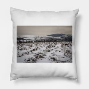 Powdered Hills - 2013 Pillow