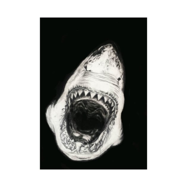 White Shark by calamarisky
