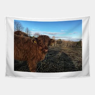 Scottish Highland Cattle Calf 1840 Tapestry