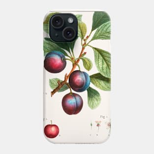 Myrobalan Plum Phone Case