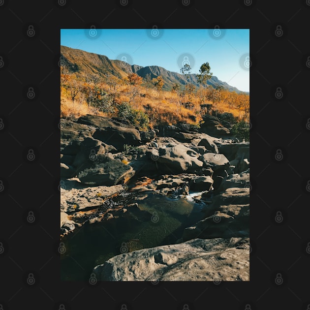 River Flowing Through Dry Grassland (Chapada dos Veadeiros NP, Brazil) by visualspectrum