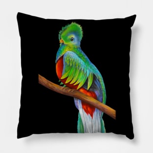 Quetzal Pillow