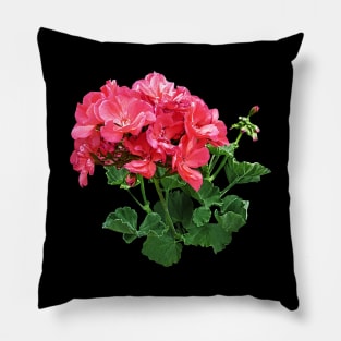 Geraniums - Geranium Relaxing Pillow