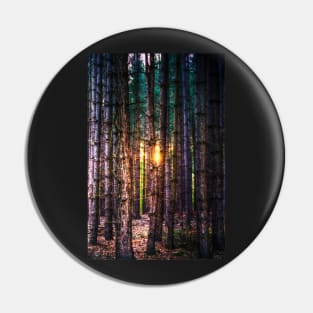 A Light in the Trees Pin