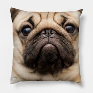 Pug The Dog Pillow