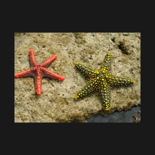 Sea Stars T-Shirt