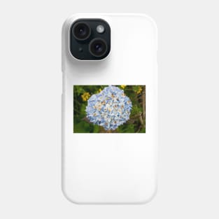 blb hydrangea Phone Case