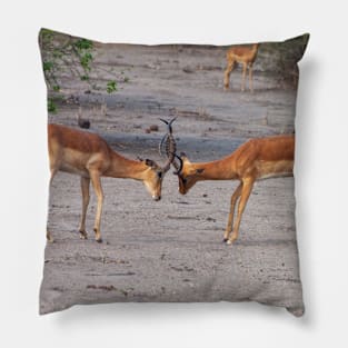 Two Male Impalas Fighting Pillow