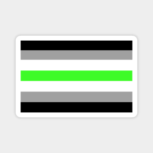 Agender Pride Flag Magnet