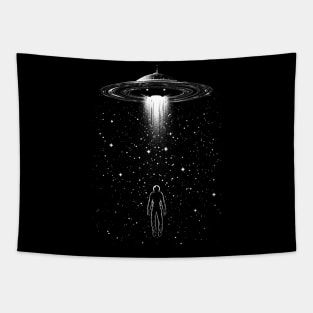 I want to believe Tapestry