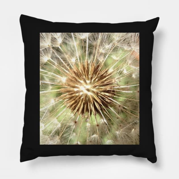 Make a Powerful Wish with a Dandelion Poof Pillow by Photomersion