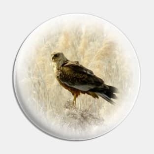 Marsh harrier Pin