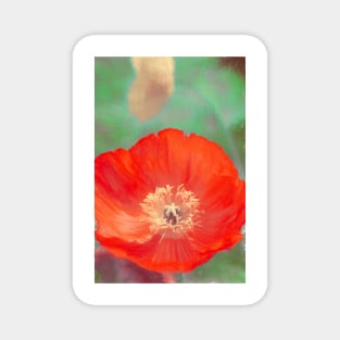 Poppy 22 Magnet