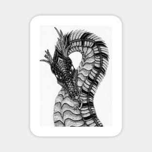 Dragons gaze Magnet