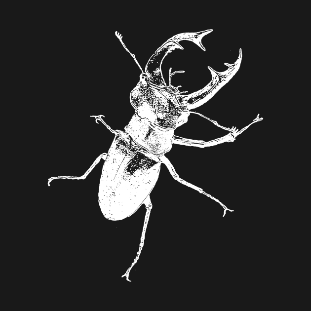 Stag beetle by Guardi